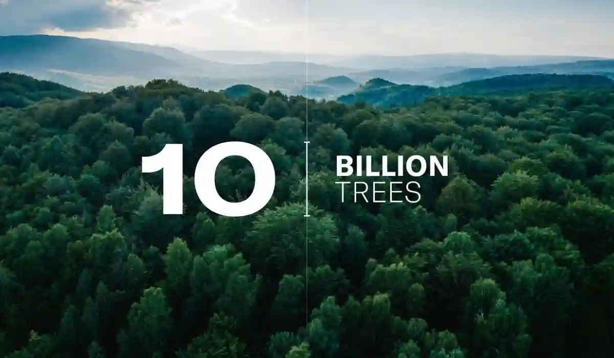 Saudi Arabia’s 10 Billion Tree Project