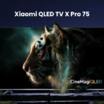 Xiaomi launches new smart TV in India; Price and features of this 75-inch TV
